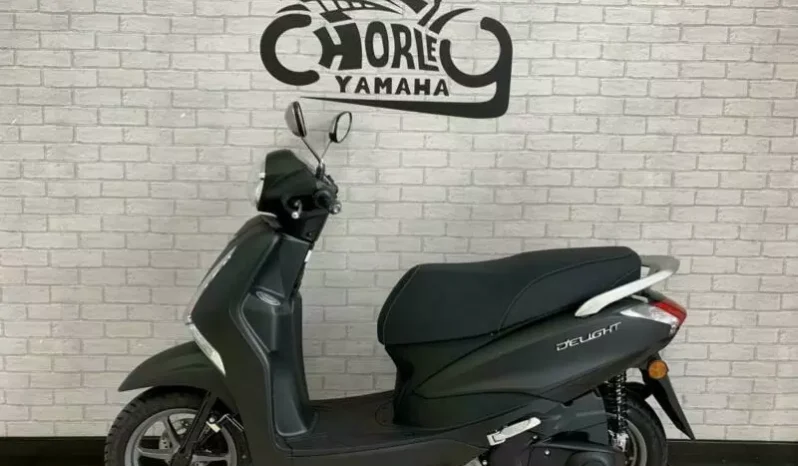 
								2021 Yamaha D’elight 125 (LTS125-C) full									