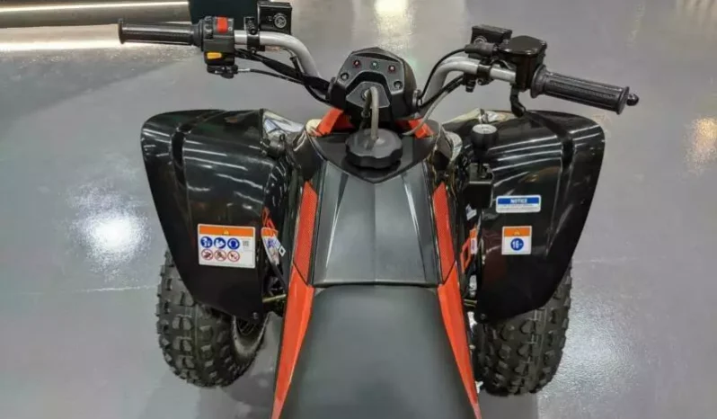 
								2022 Can-Am DS 250 full									