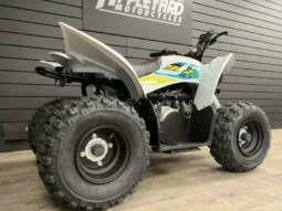 
										2021 Yamaha YFZ50 full									
