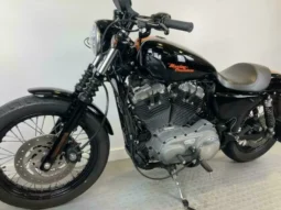 
										2009 Harley-Davidson Nightster (XL1200N) full									
