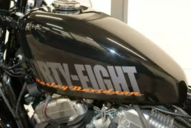 2012 Harley-Davidson Forty-Eight (XL1200X)